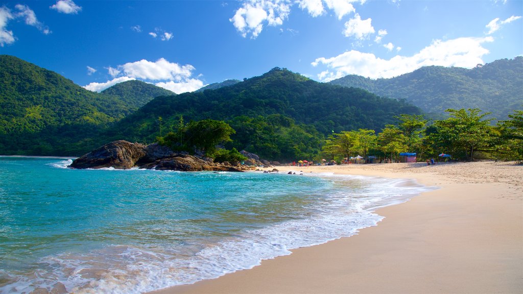 Meio Beach which includes tropical scenes, a sandy beach and general coastal views