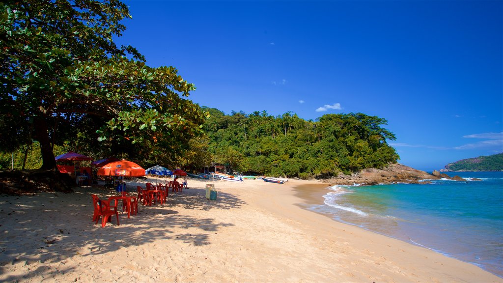 Meio Beach showing a beach, general coastal views and tropical scenes