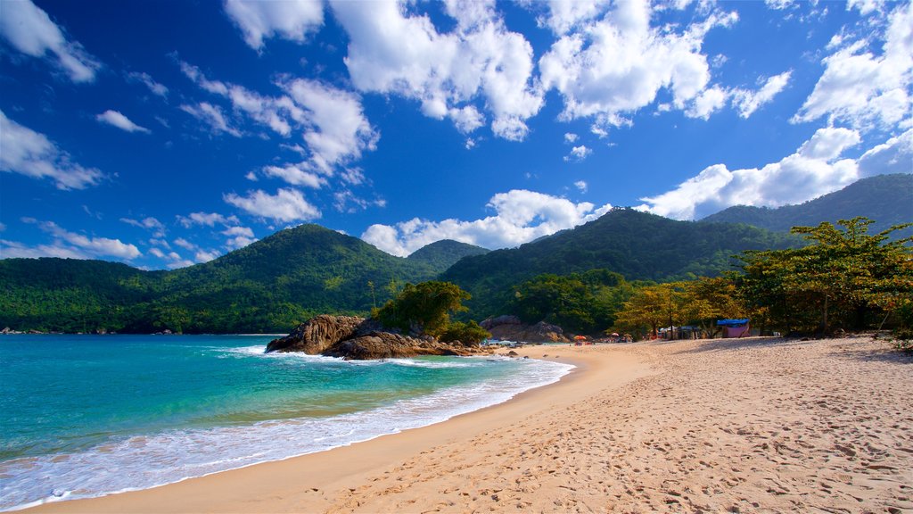 Playa del Meio mostrando escenas tropicales, vista general a la costa y una playa