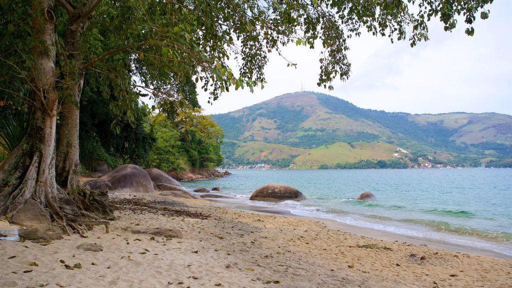 Praia das Éguas caracterizando paisagens litorâneas, cenas tropicais e uma praia