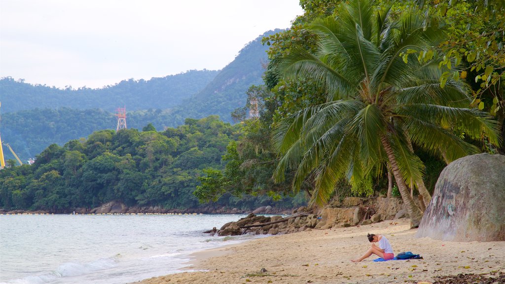 Playa das Éguas que incluye vistas generales de la costa, escenas tropicales y una playa de arena