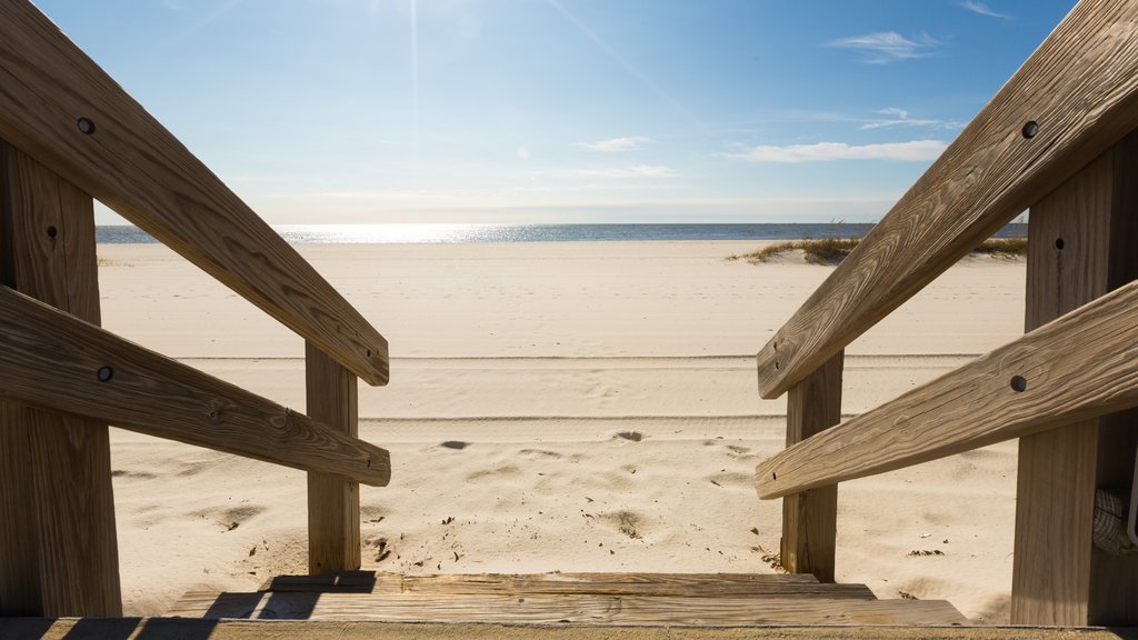 Gulfport showing general coastal views and a sandy beach