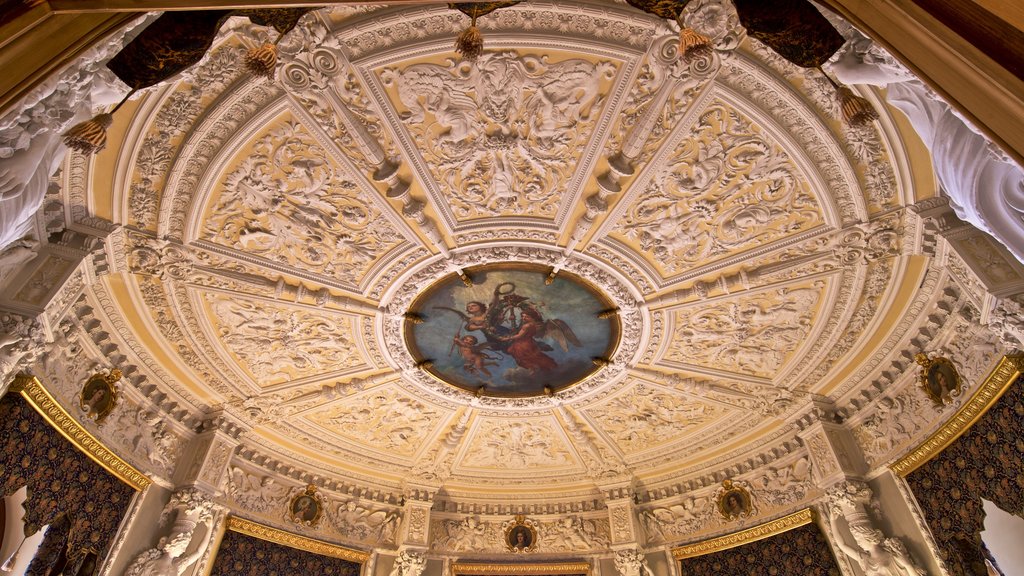 Castillo de Schwerin ofreciendo vistas interiores, arte y elementos del patrimonio