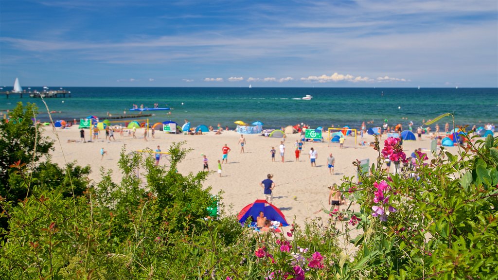 Kuehlungsborn Beach showing general coastal views and a sandy beach as well as a large group of people