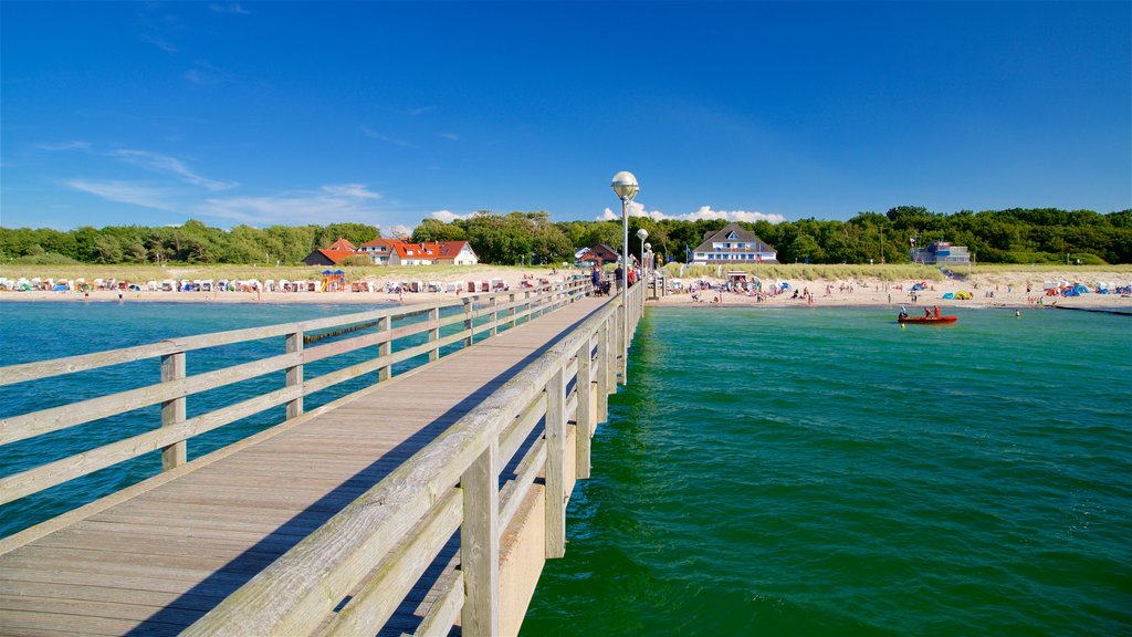 Graal Mueritz showing general coastal views