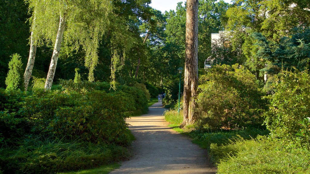 Graal Mueritz showing a park