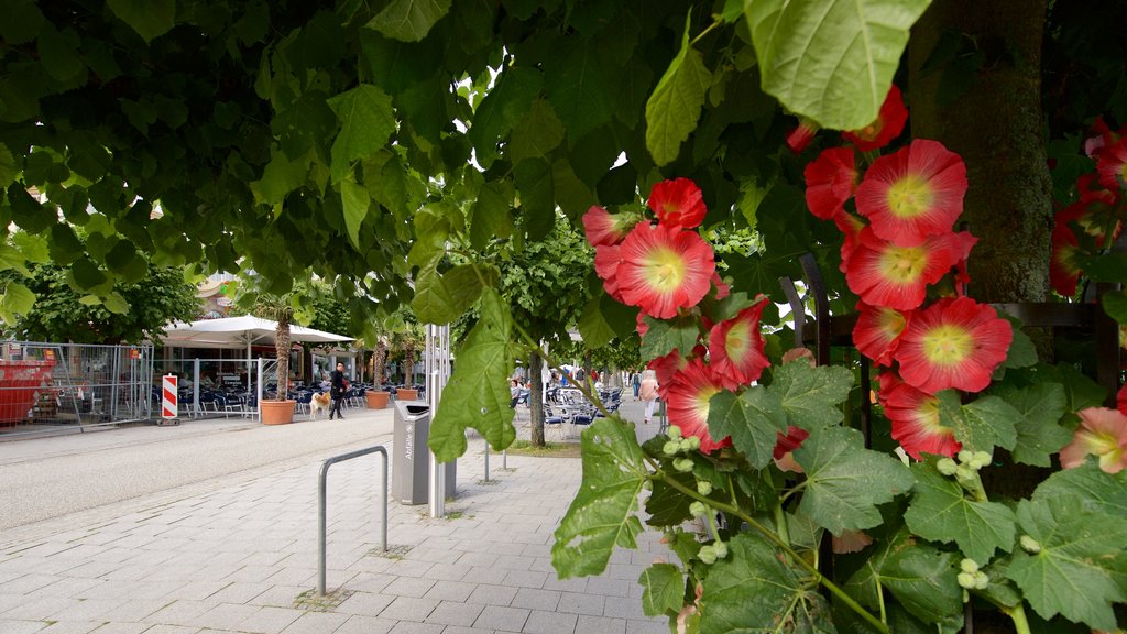 Travemünde bevat wilde bloemen