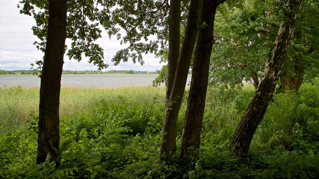 Scharbeutz menunjukkan danau