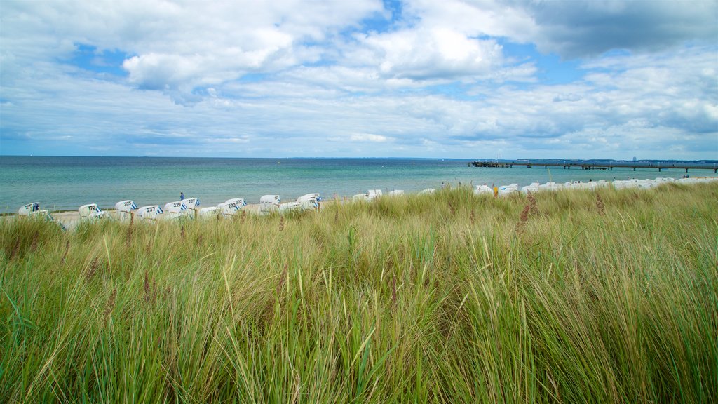 Scharbeutz mettant en vedette vues littorales