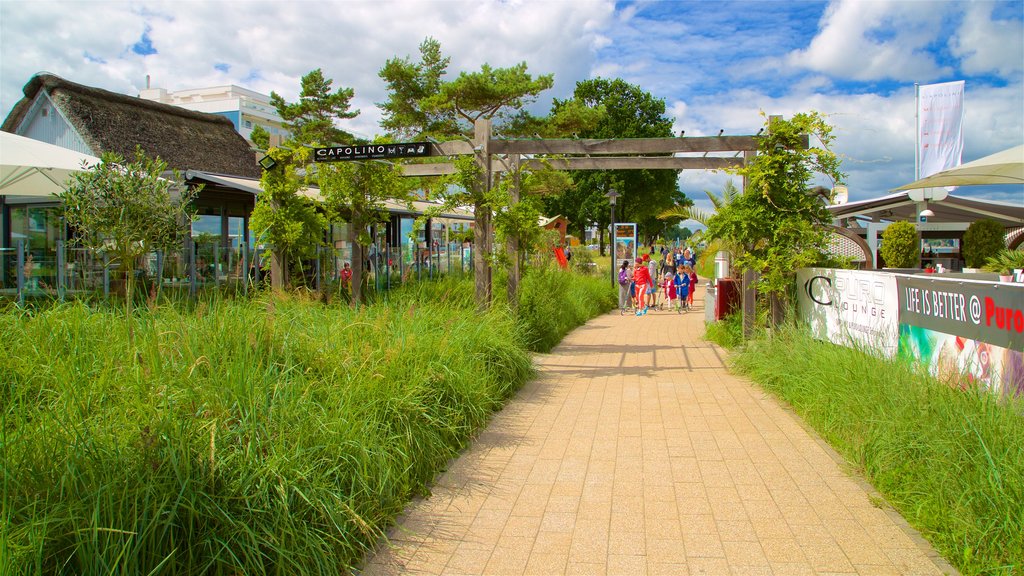 Scharbeutz showing a garden as well as a small group of people