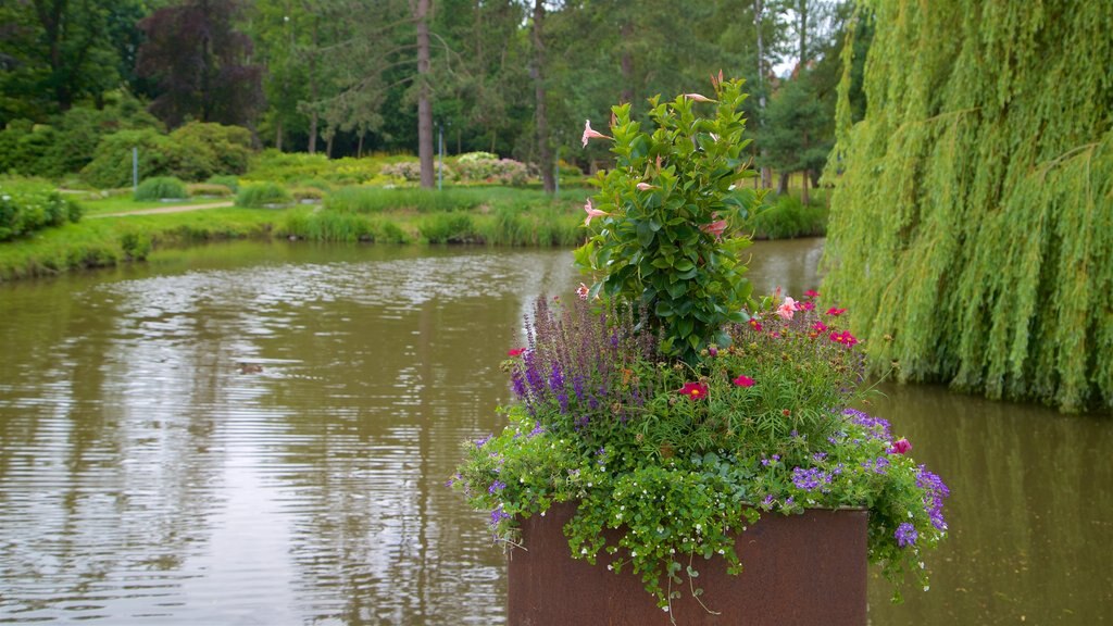 Scharbeutz toont bloemen en een rivier of beek