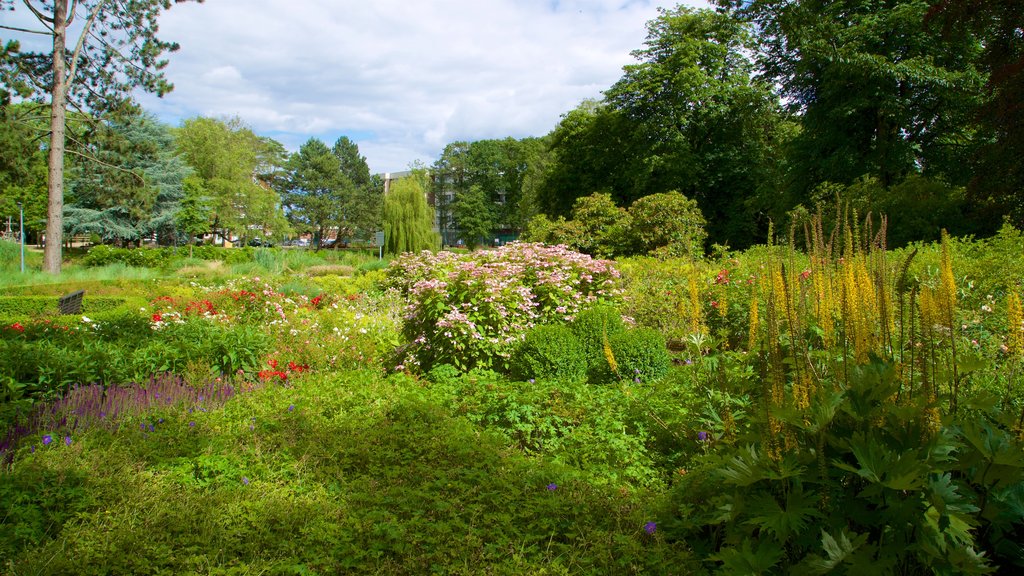 Scharbeutz som viser villblomster