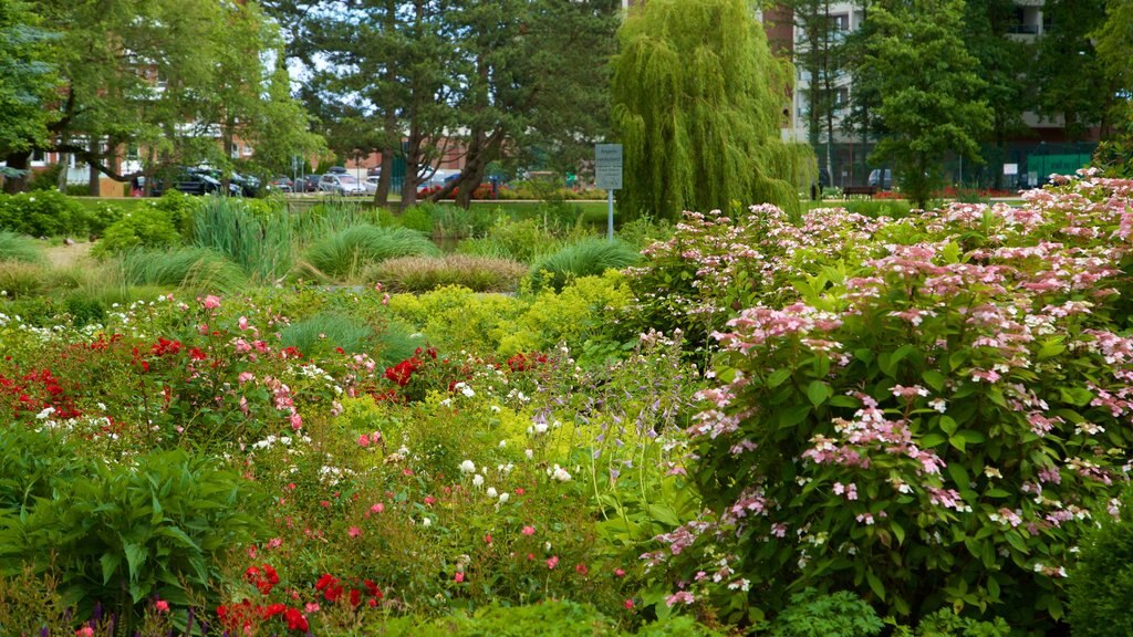 Scharbeutz showing wild flowers