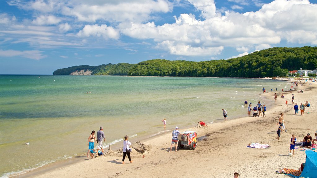 Binz Beach showing a sandy beach and general coastal views as well as a small group of people