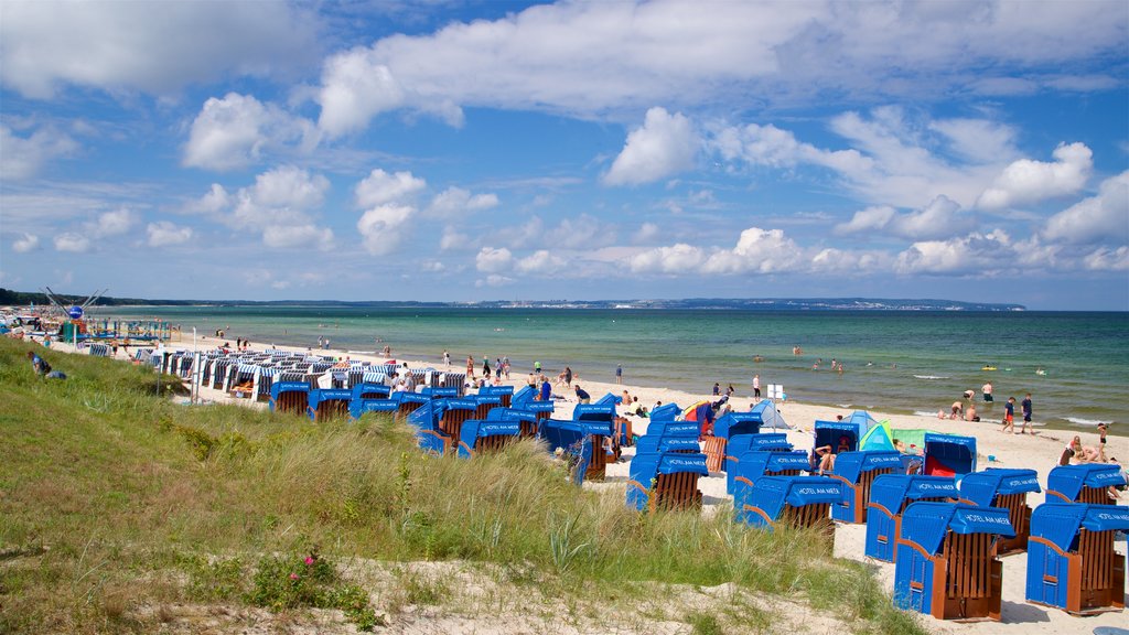 Binz Beach showing a sandy beach and general coastal views