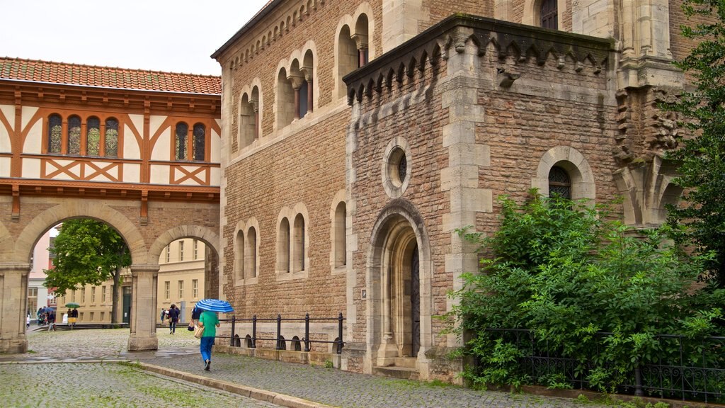 Dankwarderode Castle showing street scenes and heritage architecture