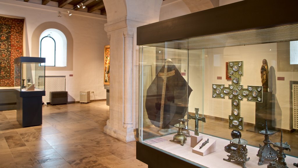 Dankwarderode Castle showing religious elements and interior views