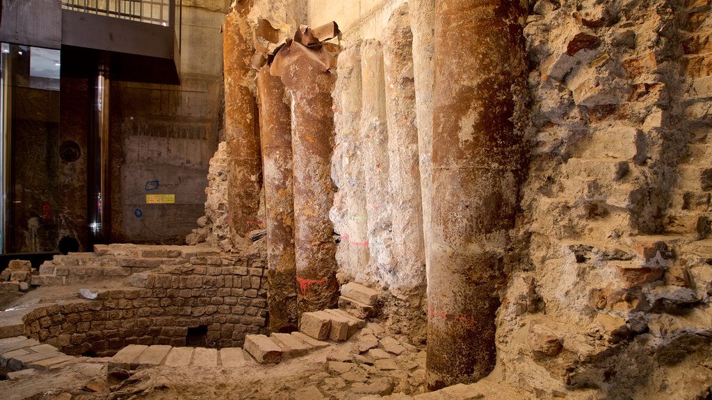 European Hansemuseum showing a ruin and interior views