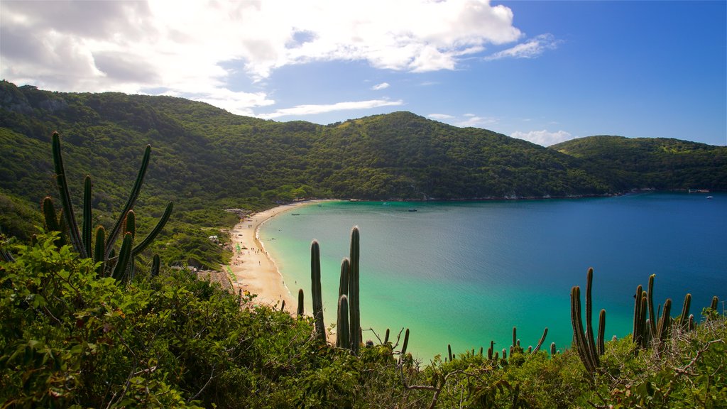 Forno Beach showing general coastal views and landscape views