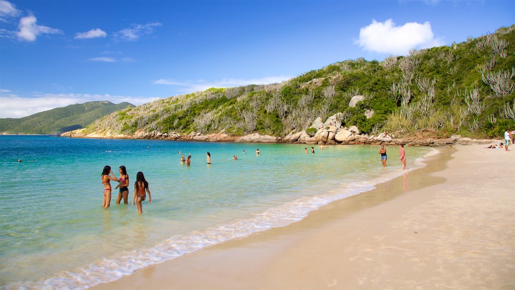 Praia do Forno caracterizando paisagens litorâneas, uma praia de areia e natação