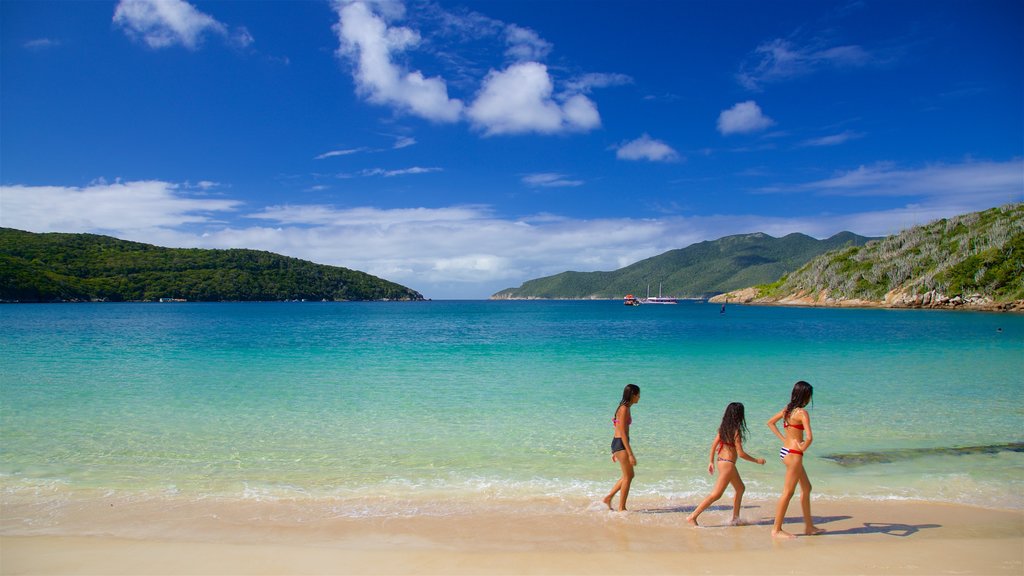 Playa Forno que incluye vistas generales de la costa, una playa de arena y natación