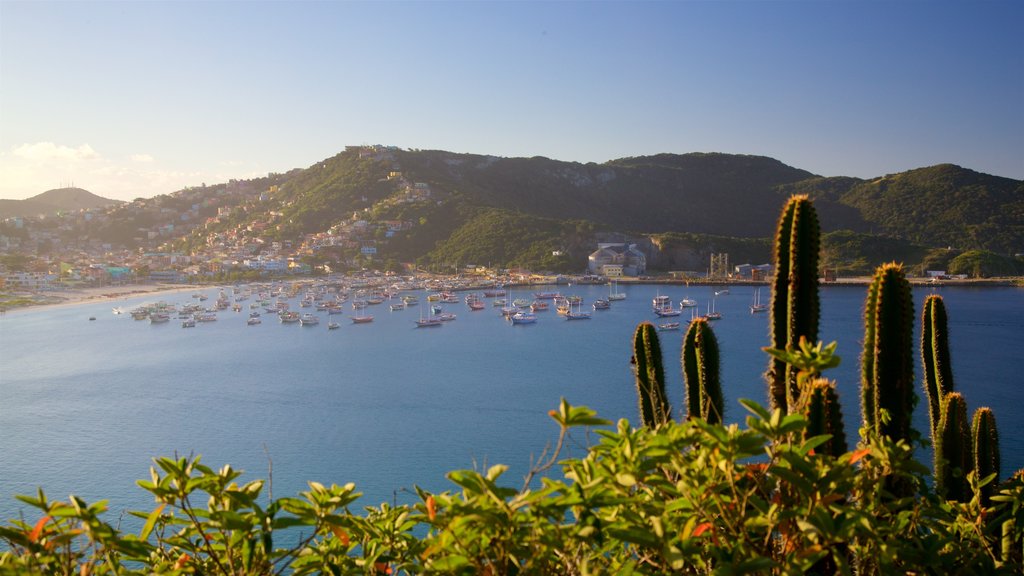 Atalaia Viewpoint showing general coastal views, a sunset and a coastal town