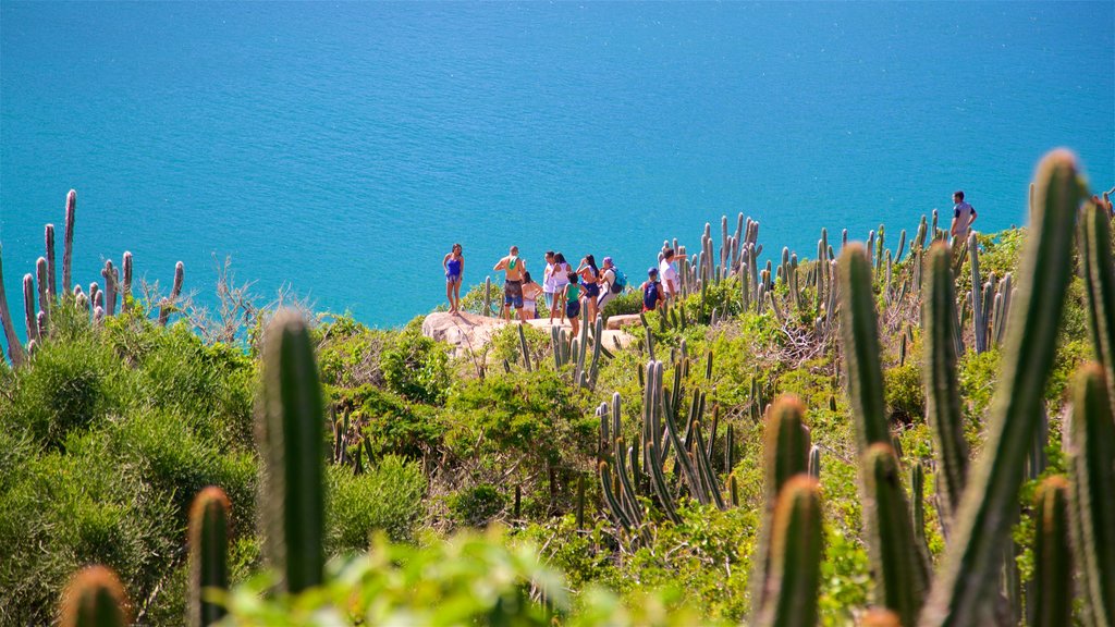 Forno Beach featuring general coastal views as well as a small group of people