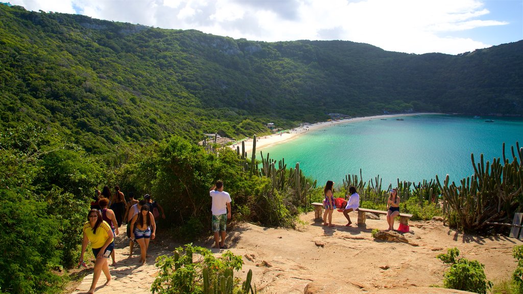 Praia do Forno que inclui paisagens litorâneas assim como um pequeno grupo de pessoas