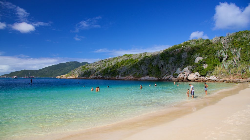 Forno Beach which includes swimming, a sandy beach and rugged coastline