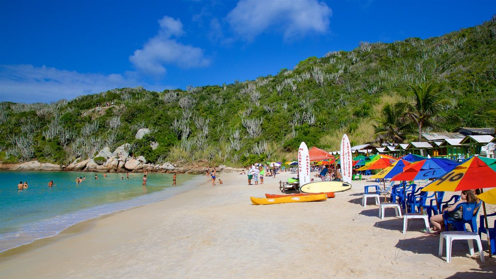 Forno Beach which includes a sandy beach, swimming and rocky coastline