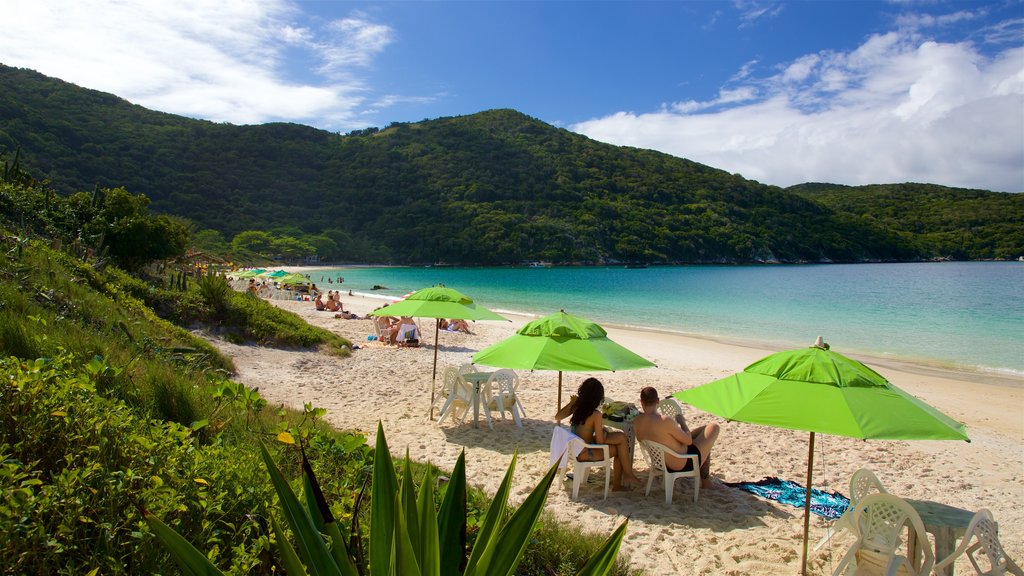 Praia do Forno mostrando uma praia e paisagens litorâneas assim como um casal