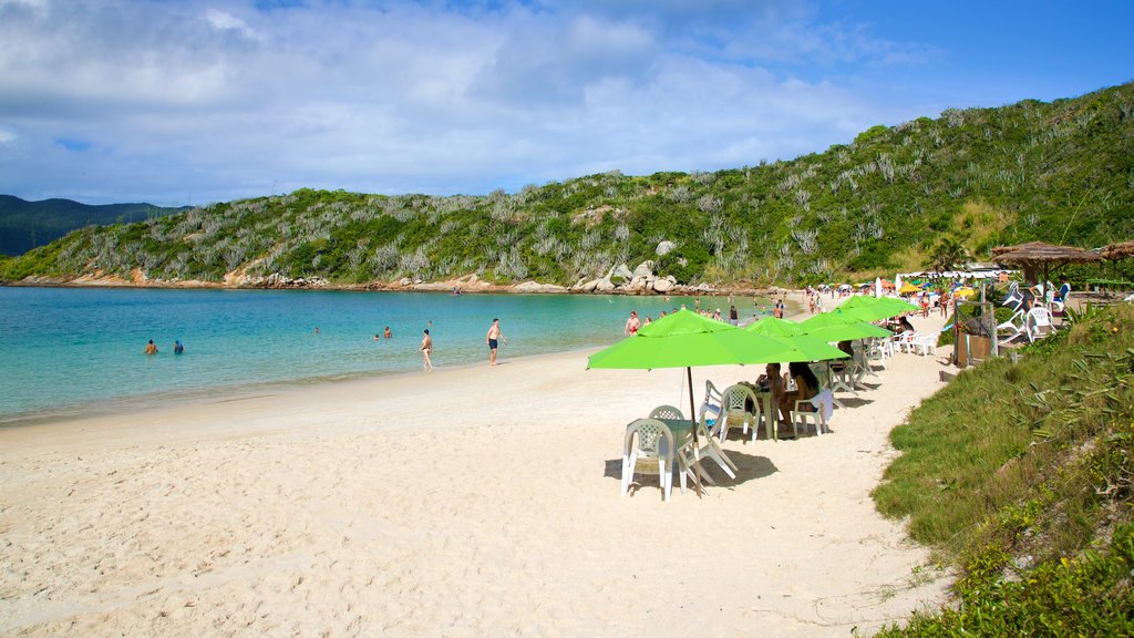 Forno Beach which includes swimming, a sandy beach and general coastal views