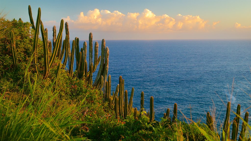 Mirador de Atalaia que incluye un atardecer y vista general a la costa