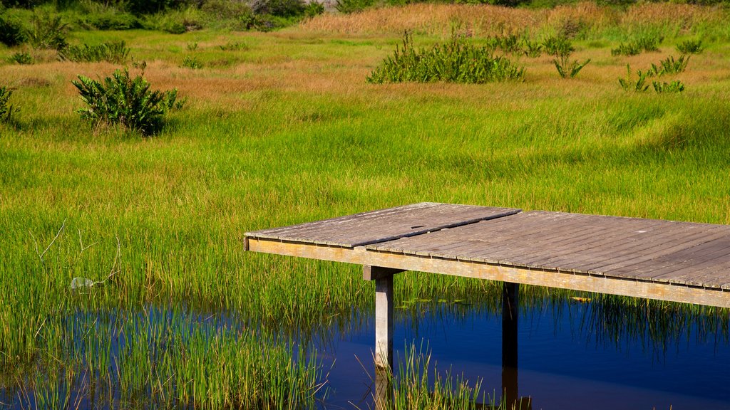 Ferradura Lagoon which includes wetlands