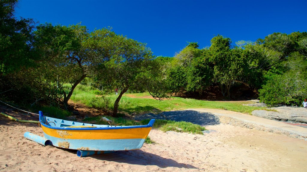 Playa Forno que incluye una playa de arena