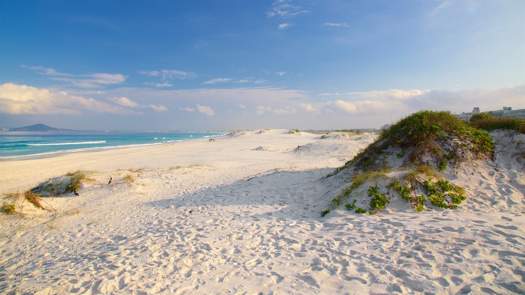 Dunas Beach showing a sandy beach and general coastal views