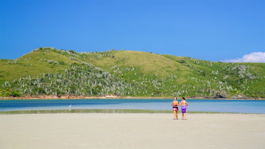 Japanese Island which includes a beach and general coastal views as well as a couple