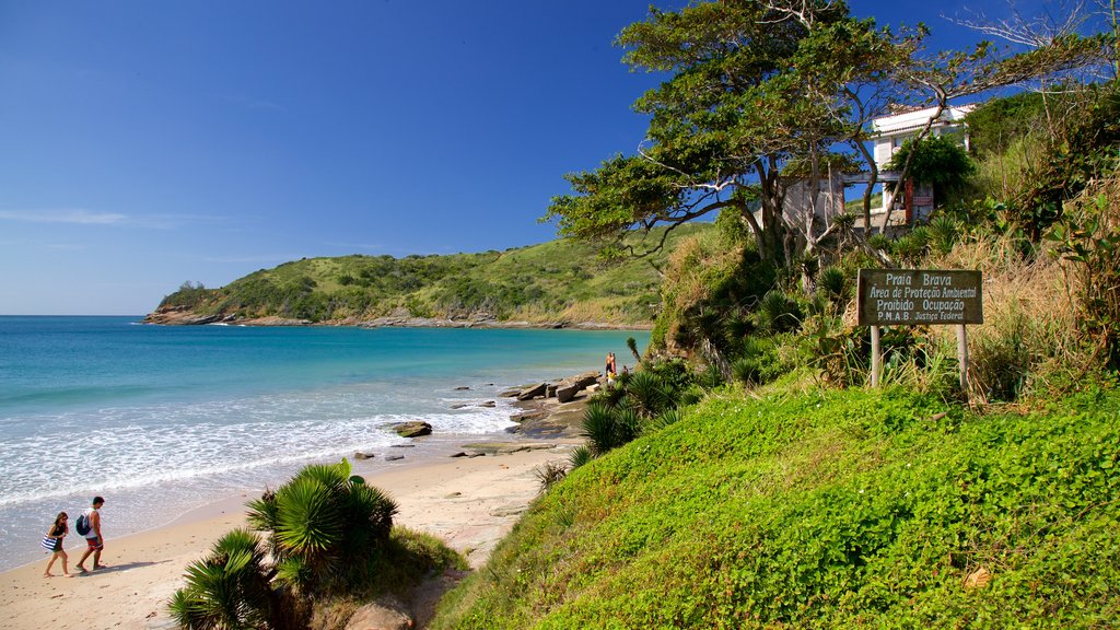 Brava Beach showing general coastal views and a sandy beach as well as a couple