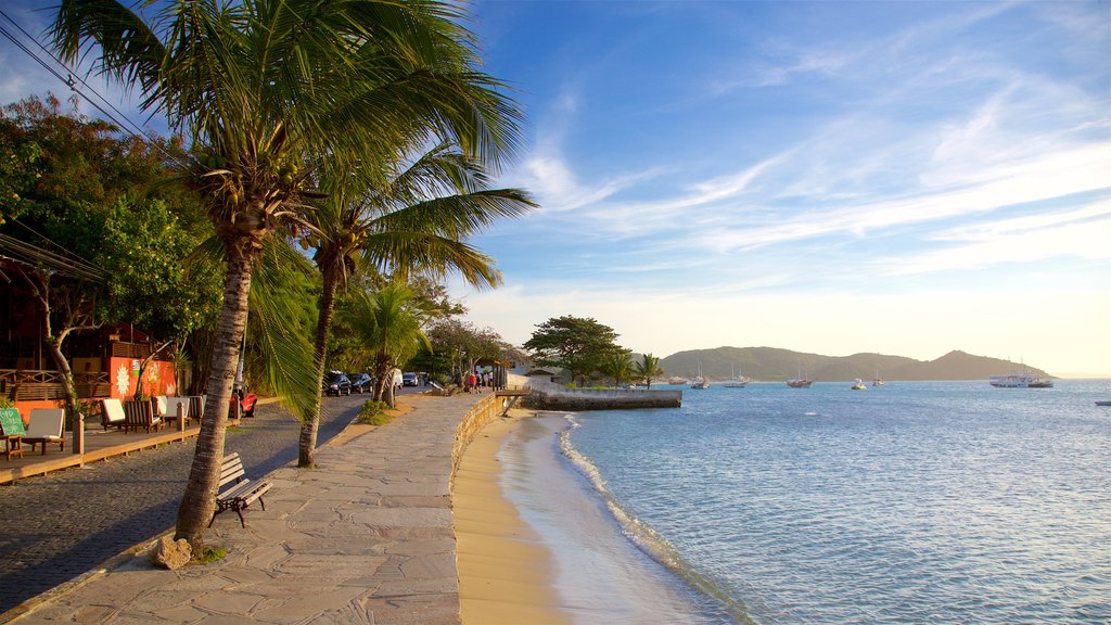 Orla Bardot showing a bay or harbour, tropical scenes and general coastal views