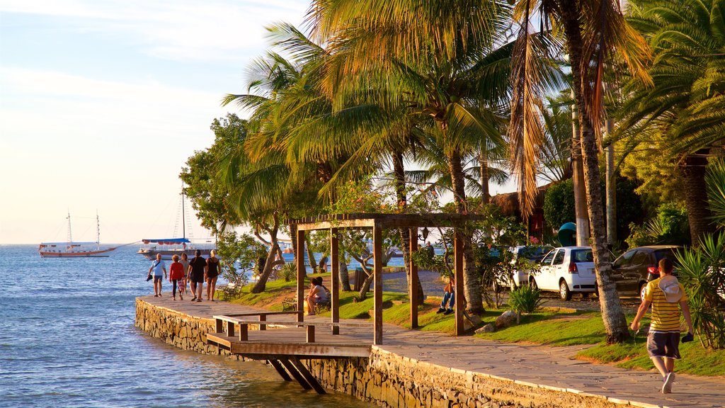 Orla Bardot showing tropical scenes and general coastal views