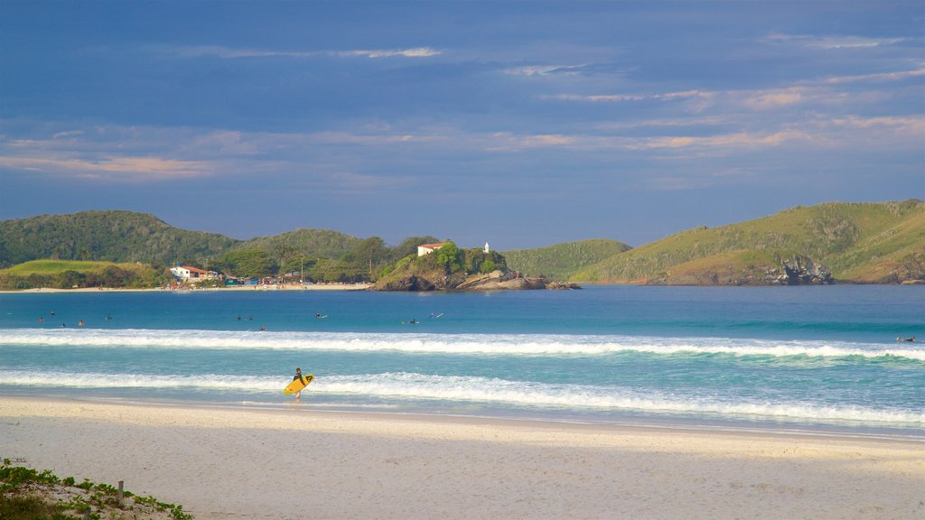 Forte Beach showing a beach and general coastal views