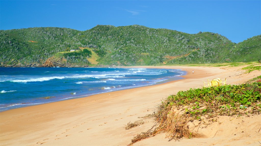 Tucuns Beach showing general coastal views and a beach