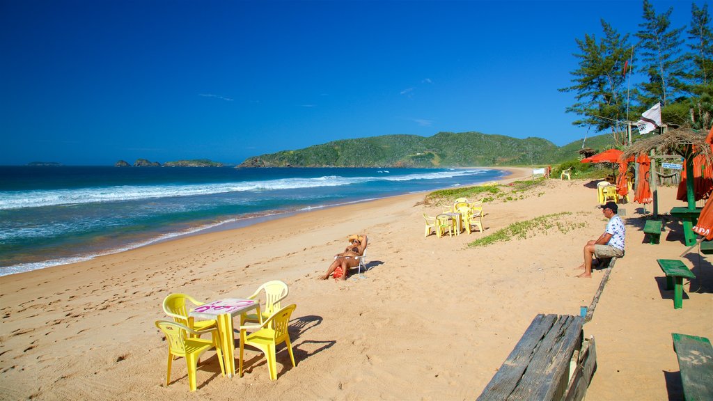 Playa Tucuns mostrando vistas generales de la costa y una playa de arena y también una pareja