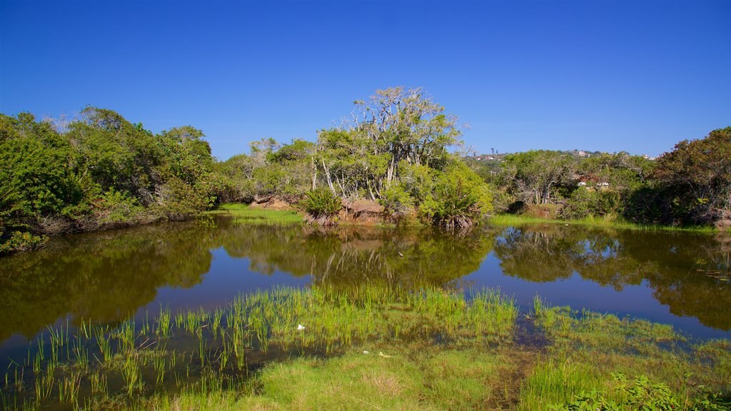 Ferradura Lagoon showing wetlands