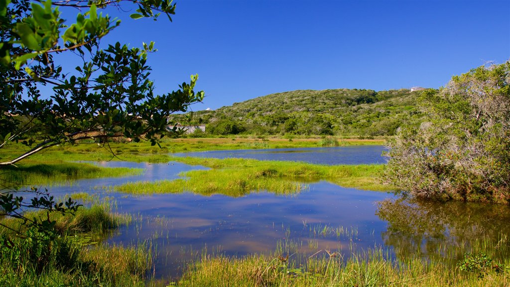 Lagoa da Ferradura que inclui pântano