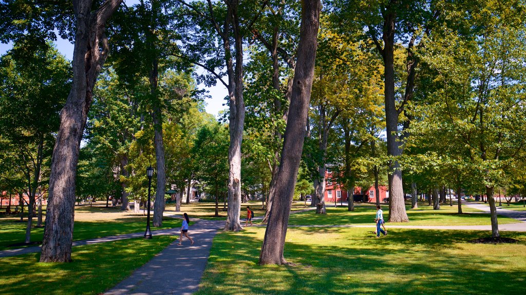 Bowdoin College featuring a garden as well as a small group of people