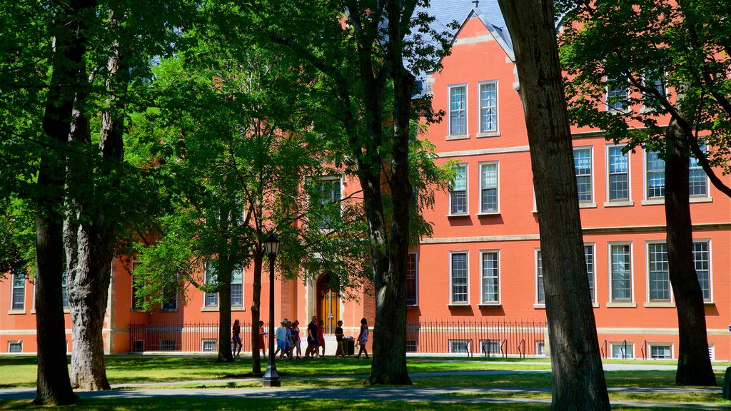 Bowdoin College showing a park as well as a small group of people