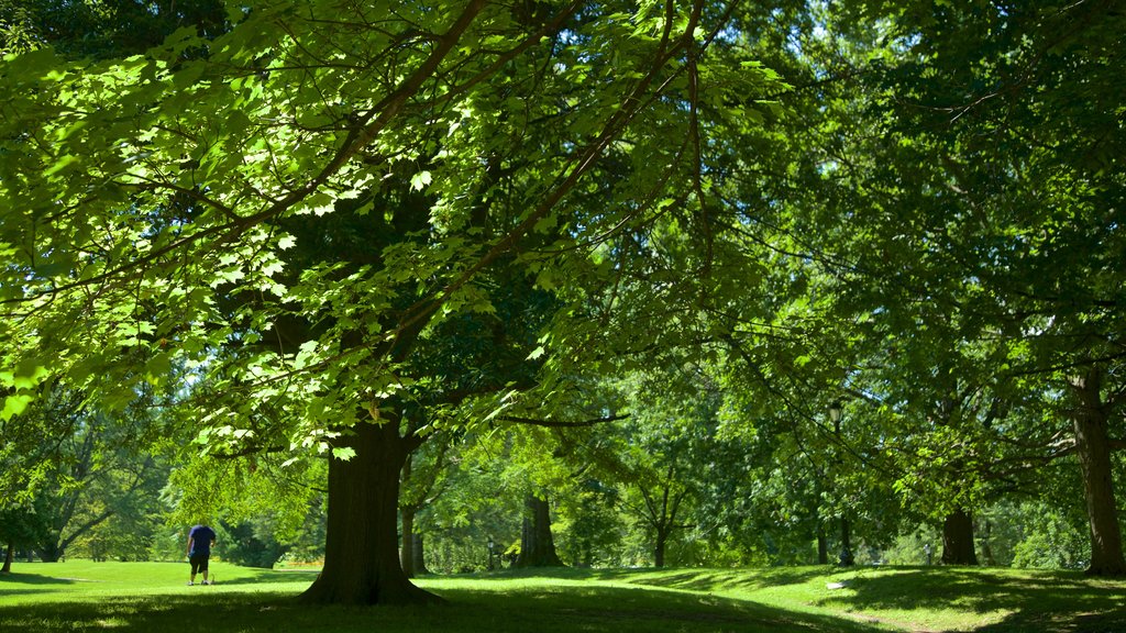 Washington Park presenterar en trädgård