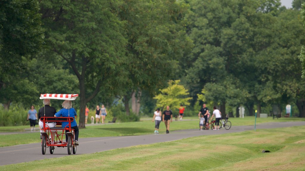 Onondaga Lake Park toont een tuin en fietsen en ook een stel