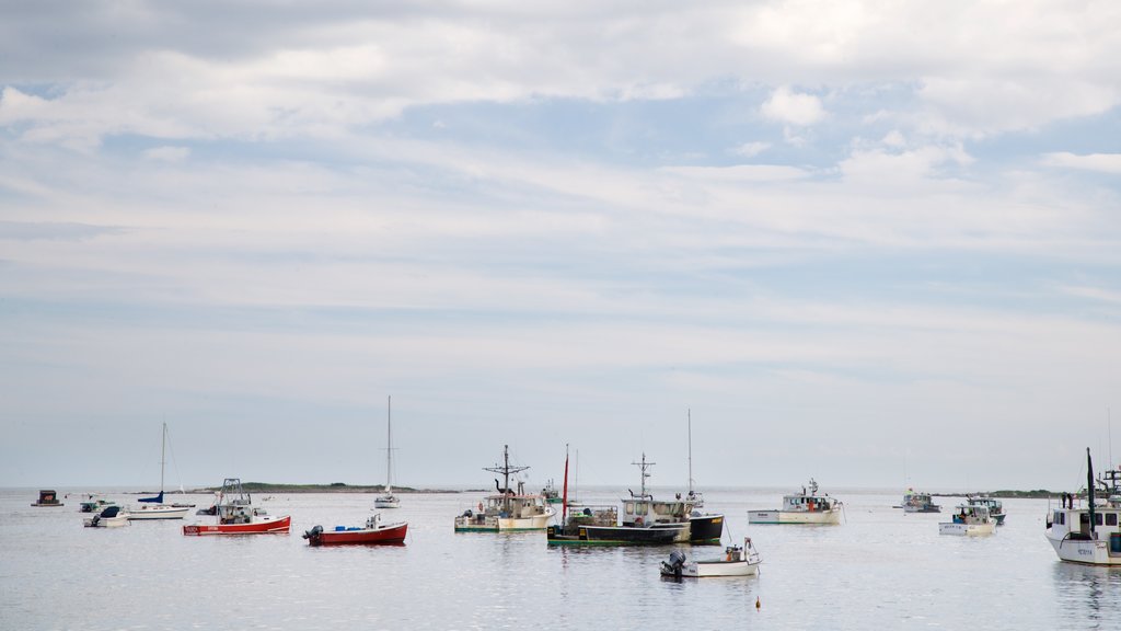 Cape Porpoise som omfatter udsigt over kystområde og en bugt eller havn